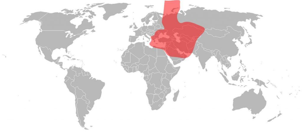 Africasat 1A Ku-Band Central Asia Beam