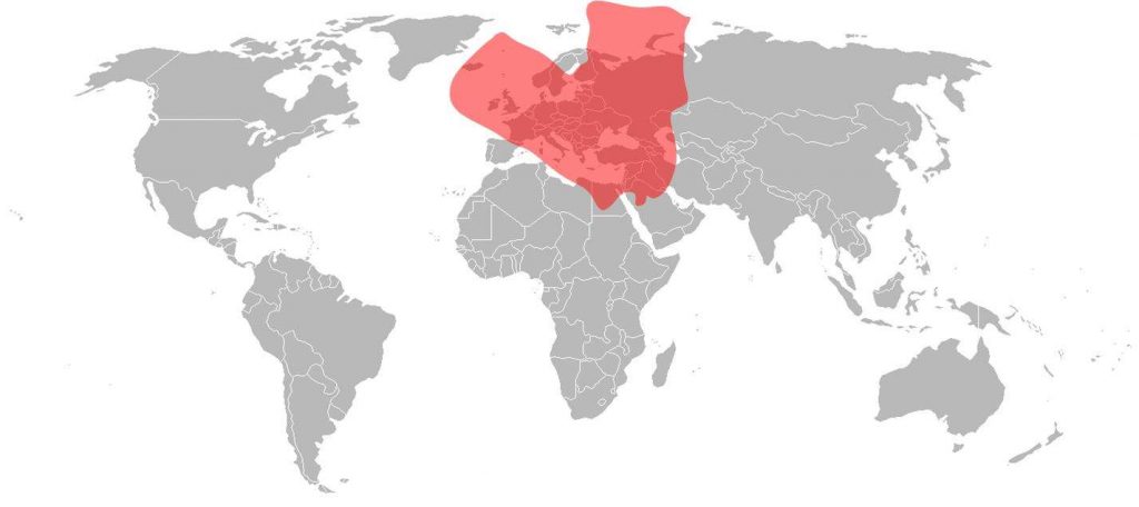 Africasat 1A Ku-Band Europe Beam