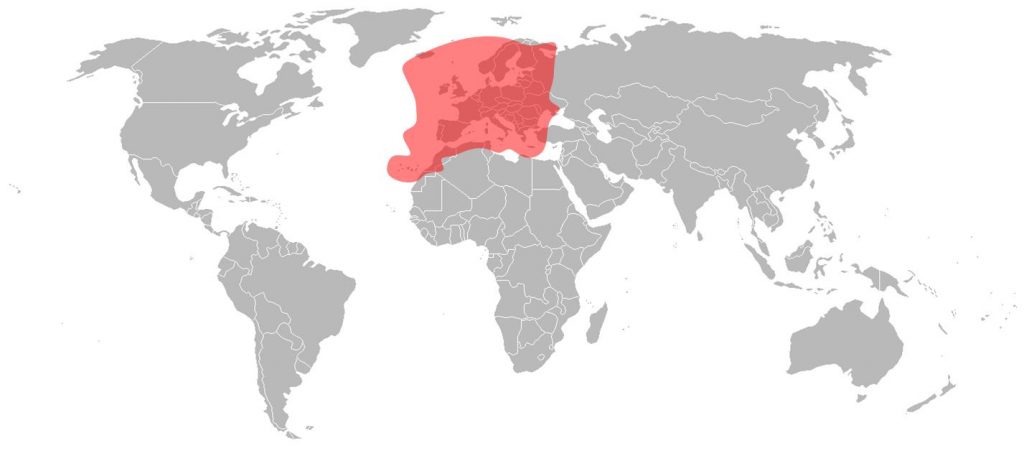 Astra 1L Ku-Band European Beam