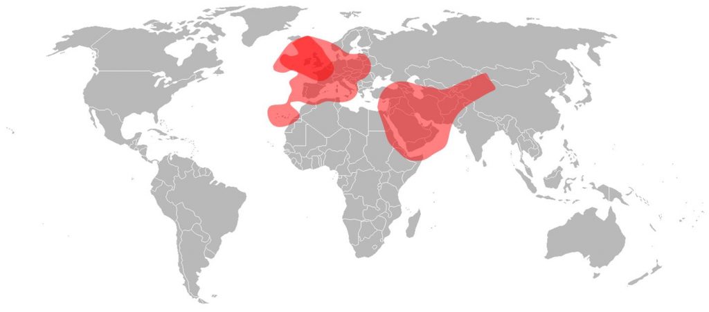 Astra 2 Ku-Band Total Coverage