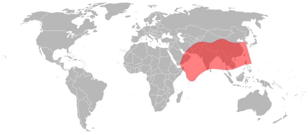 Intelsat 10 Ku-Band Asia Beam