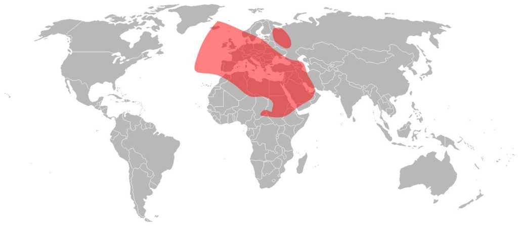 Intelsat 10 Ku-Band Europe Middle East Beam