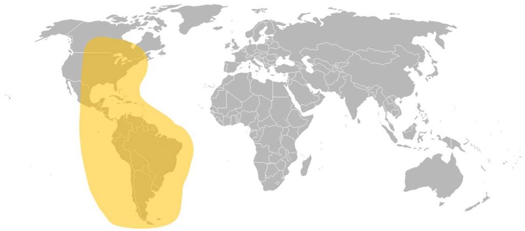SES-4 C-Band Western Hemi Beam