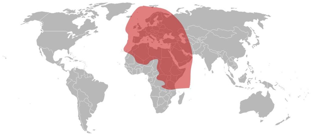 SES-4 Ku-Band Europe Middle East Beam