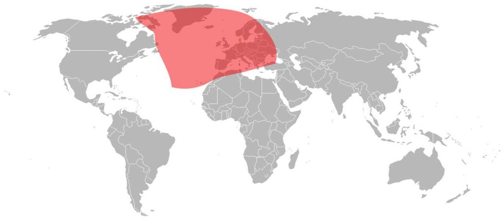 SES-6 East Atlantic KU-Band Beam