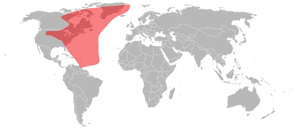 SES-6 West Atlantic KU-Band Beam