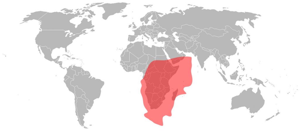 Telstar 12 Vantage Ku-Band Africa Beam