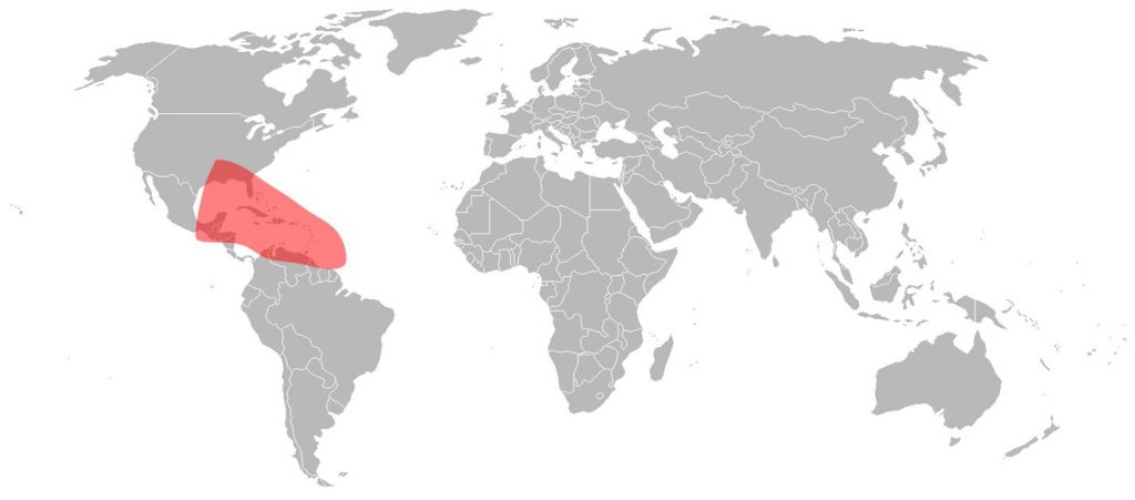 Telstar 12 Vantage Ku-Band Caribbean Beam