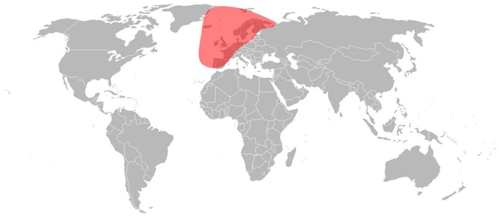 Telstar 12 Vantage Ku-Band European Spot 1 Beam