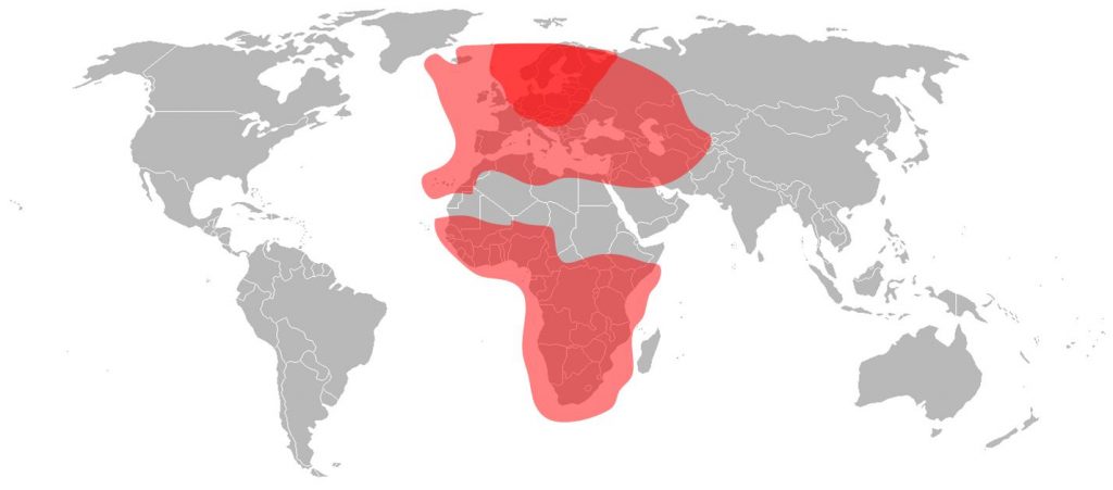 Astra 4A - Ku-Band Total Coverage