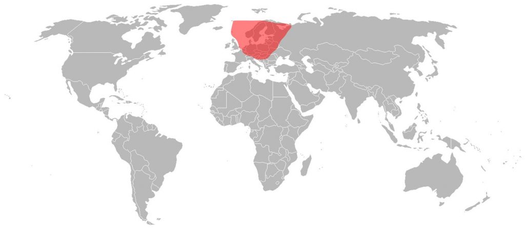 Astra 4A - Nordic Ku-Band Beam