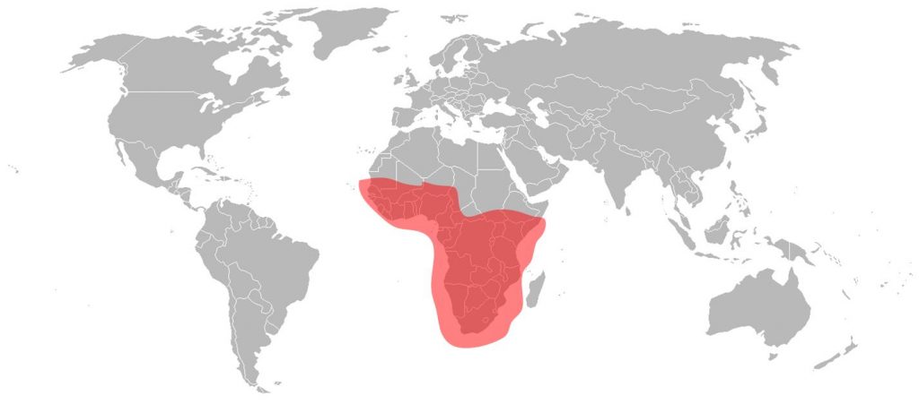 Astra 4A - Sub-Saharan Ku-band Beam