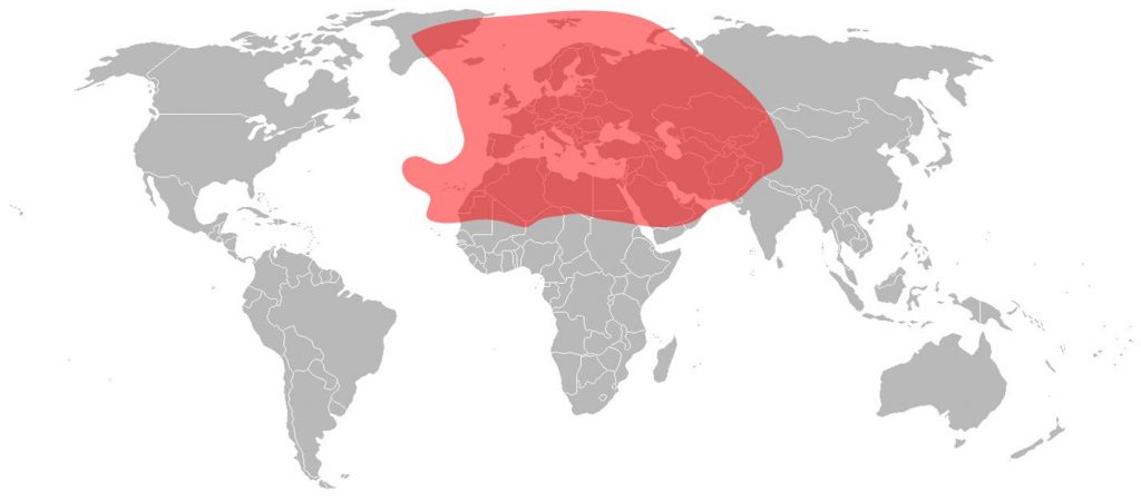 Eutelsat 10A - Ku-Band Europe Beam