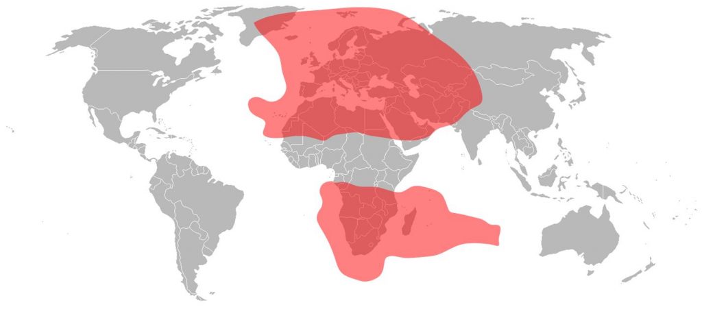 Eutelsat 10A - Ku-Band Total Coverage