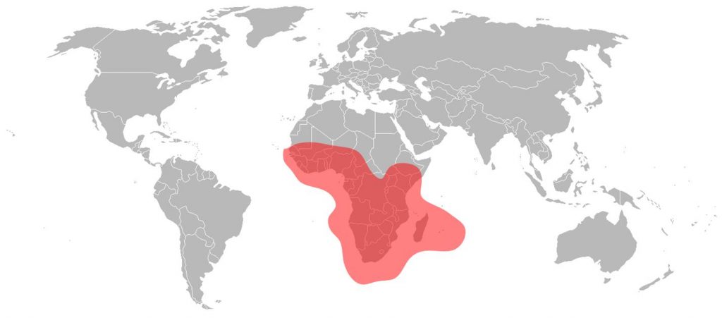 Eutelsat 7A Ku-Band African Beam