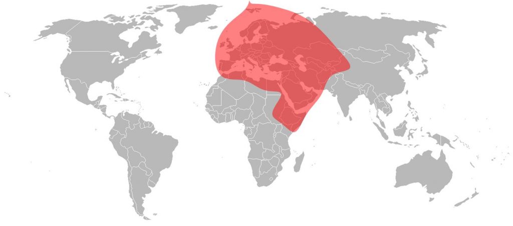 Eutelsat 7A Ku-Band Europe - B Beam