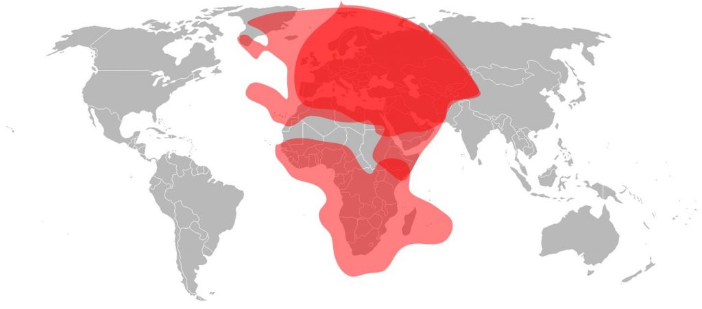 Eutelsat 7A Ku-Band Total Coverage