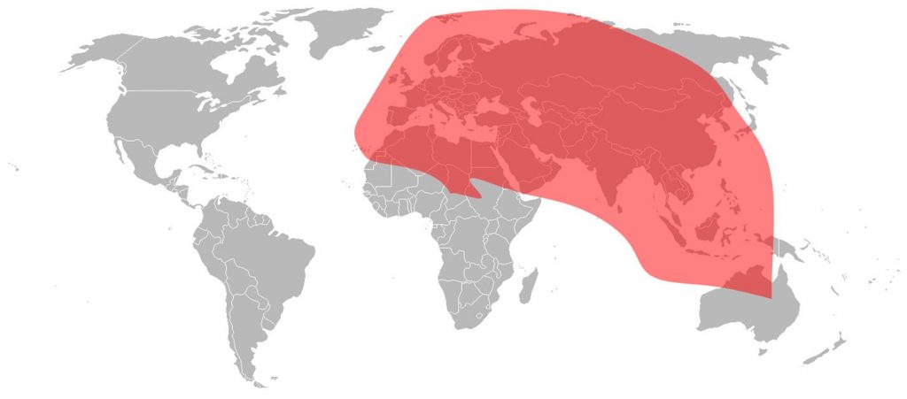 Intelsat 33E - Ku-Band Europe & Asia Beam