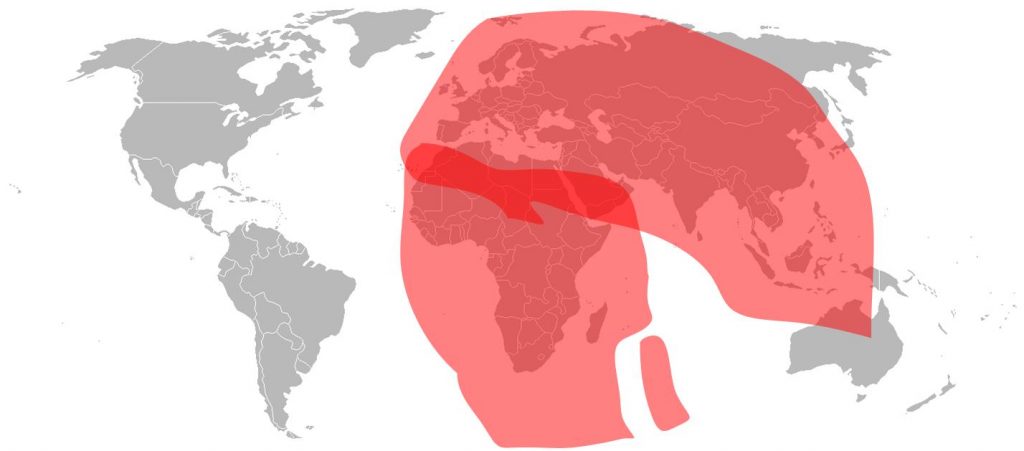 Intelsat 33E - Ku-Band Total Coverage