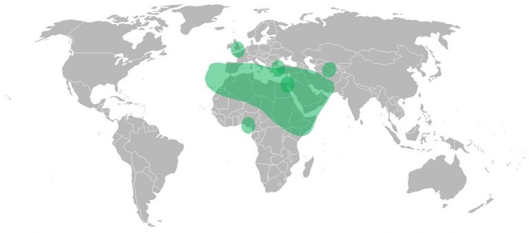 Ka-Band Total Coverage
